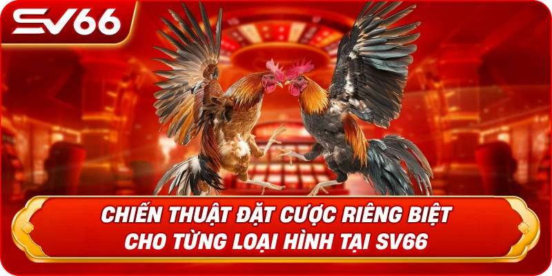 Chiến Thuật Đặt Cược Riêng Biệt Cho Từng Loại Hình Tại SV66